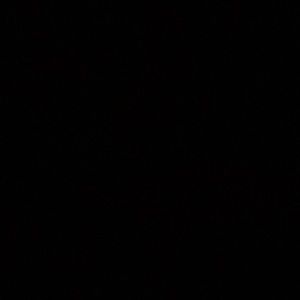 Meet your Posher, Allena